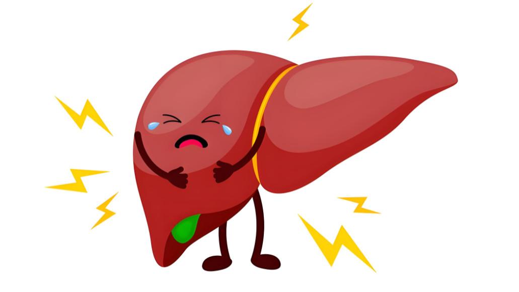 为什么夏天越养肝越累? 补错了方向! 分清肝阴虚/肝阳亢才是关键!