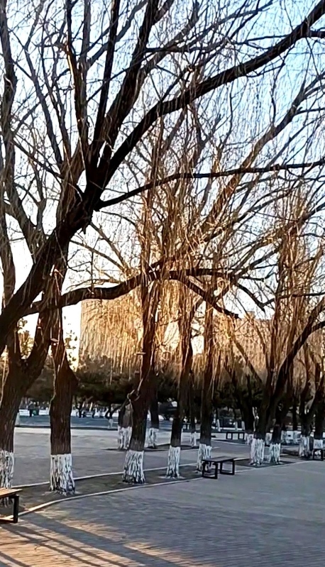 相声二代终于消停了。

本来就是相声边缘人，还总是一副武林盟主的气魄，想把相声大