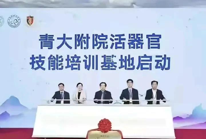 有谁知道这个是怎么培训的？
