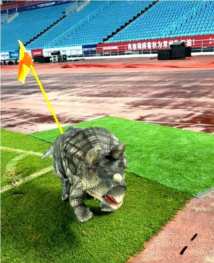 6月21日，在常州队0∶4不敌南京队的“苏超”联赛赛后，多名现场球迷拍到了一段视