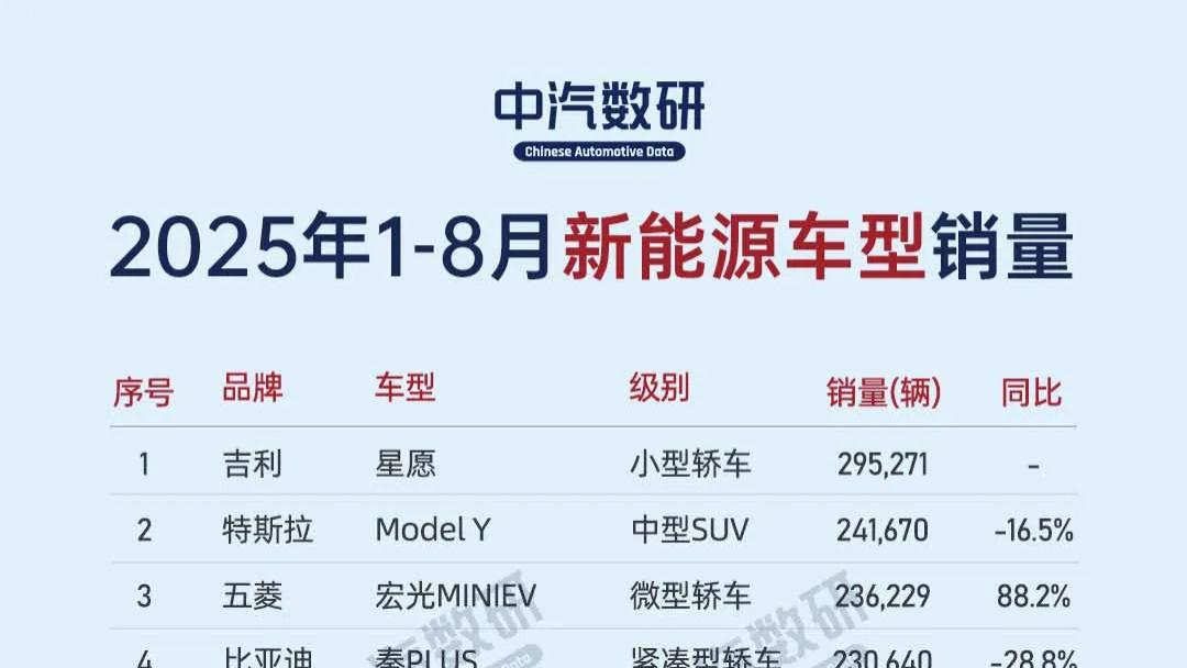 2025年1-8月新能源车型销量排行TOP100