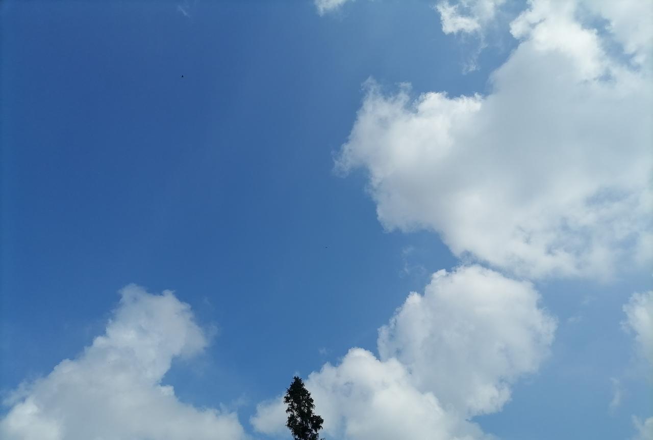 以河北开头的大学，有一所不在河北省，你知道是哪一所吗？
以河北开头的大学，根据不