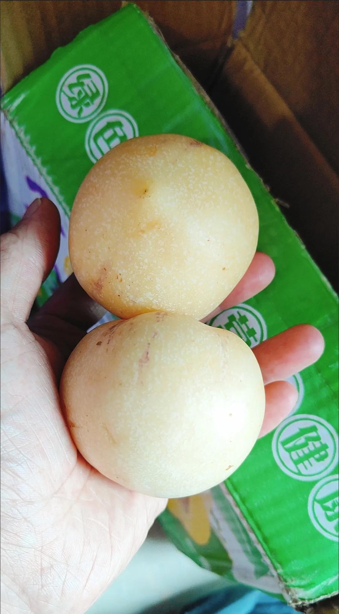 这玩意初尝一股子腥味
再吃水多甘甜
越吃越好吃