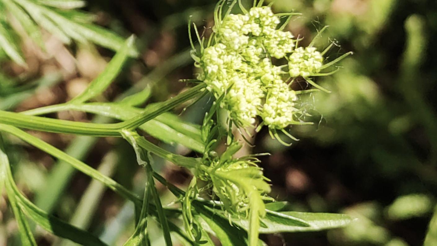 人在职场：难得糊涂，糊涂难得