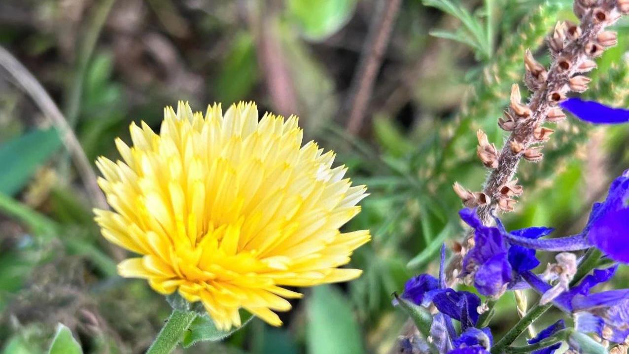 中年夫妻尤须避开的3个吵架陷阱