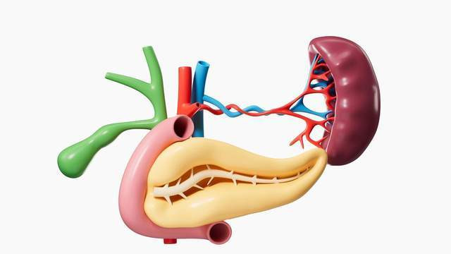 你的胆囊还好吗？不想“攒石头”，就该这样办……