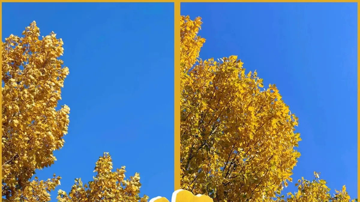 掌握规律，就有预测能力