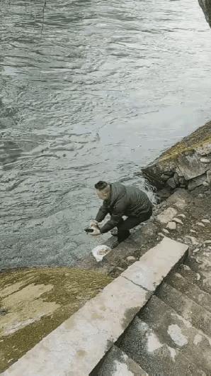 一边行好，一边作恶。男子放生了一条鱼，随手把装鱼的塑料袋扔进了河里任意漂流。这只