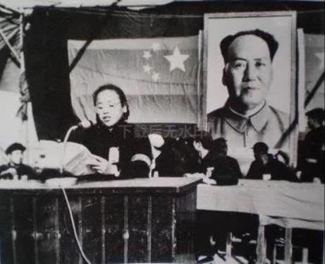 在北京师范大学的谭厚兰，曾为地派领袖，1978年4月被捕入狱。1981年，谭厚兰