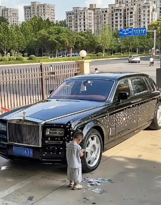 这太可怜了，连个玩伴都没有，只能一个人玩贴花打发时间…… ​​​
