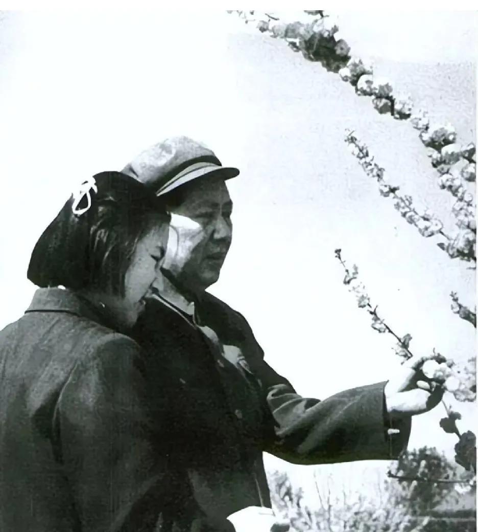 1953年，北京城的一处园子宁静又充满生机。伟人在女儿李敏的搀扶下悠然散步。虽已