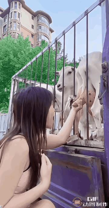 差点儿笑死我！[呲牙][呲牙][呲牙]