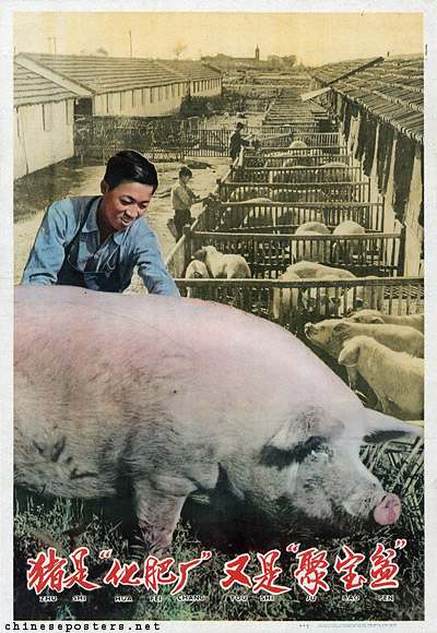 老版宣传画：猪是”化肥厂“又是”聚宝盆“（1959年）