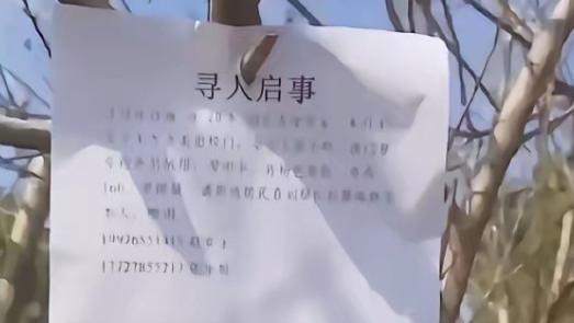 湖北大学19岁女生溺亡，悲剧的背后都有原因