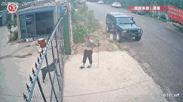 “干得漂亮！”6月26日，山东，一男子在家里养了两条大型犬，本是为了看家护院，谁
