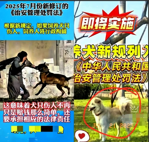 狗咬人不再“赔钱了事”？新规这波操作太狠了！6月27日新《治安管理处罚法》明确：