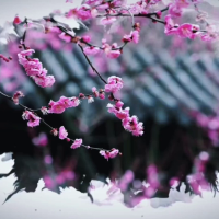 烽火台上看飞雪