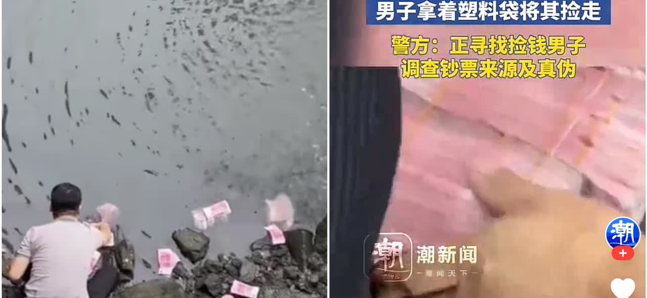 太离谱了！这是我做梦想做的事。6月12日，深圳宝安区新安街道附近河道里，竟漂着十