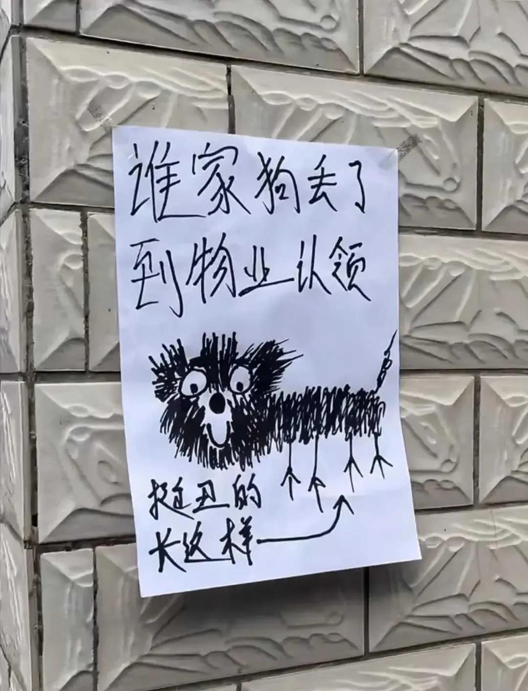 看完前：不会画不要乱画
看完后：确实挺丑的