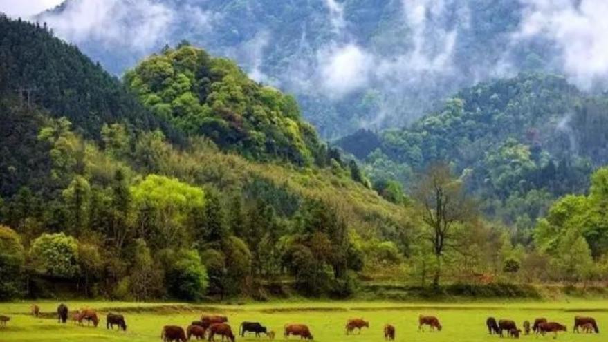 两性关系，女生发“嗯嗯”是什么意思，男人一定要懂