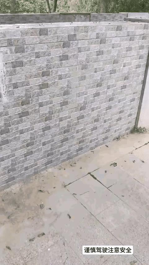 知道闯祸了，它跑的真快！