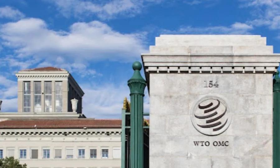 突发消息！
世贸组织最新任命
7月29日，世贸组织总干事伊维拉突然任命了一位美国