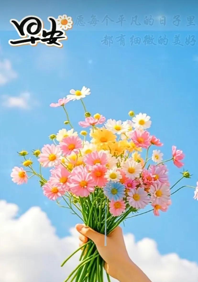 #早晨一句祝福# 周六快乐！