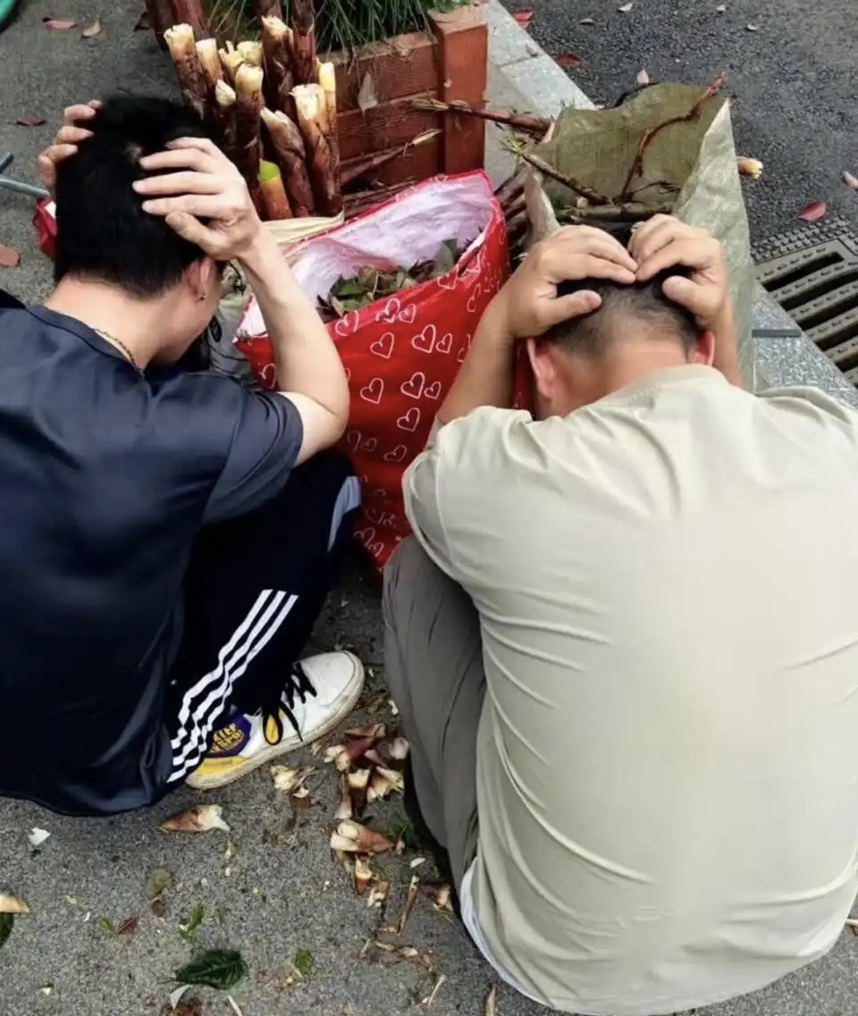 为什么被抓了？这个不是随便采吗