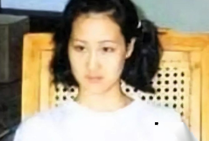 1998 年震惊全国的 “刑侦一号案” 尘埃落定，主犯白宝山被判处死刑。而从犯谢