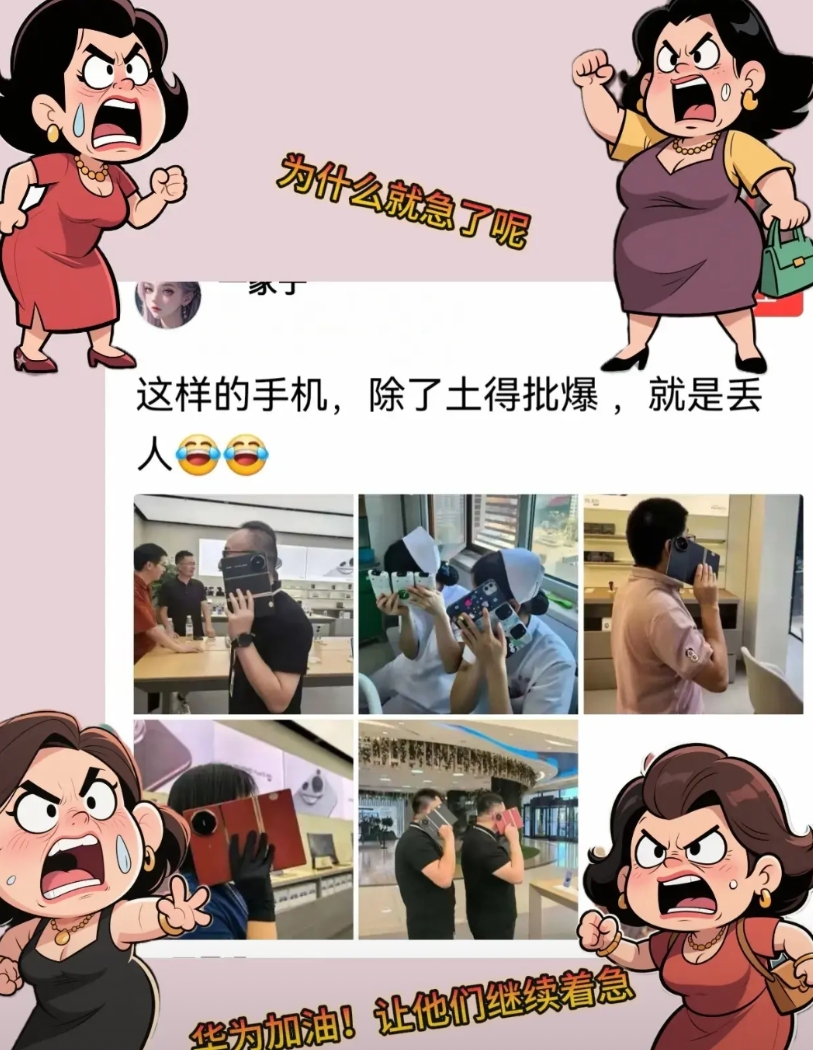 在美帝的极限打压下，还能继续盈利，实现百分之九十以上国产的企业惹着你了？
可以不