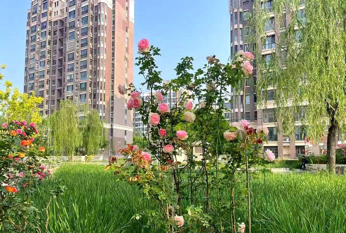 肖指导落泪了，他知道莎头的付出，也清楚孙颖莎的三次下蹲，对她的要求有多高。
但真