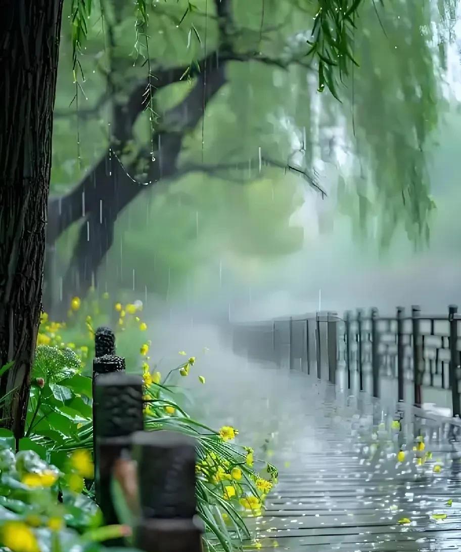 今天终于盼来了雨，从早晨开始，上空架起了胡笳，淅淅沥沥，缠缠绵绵，一曲了一曲又上