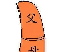 大拇指代表的是父母，如果大拇指外形生的好，就说明其人与父母之间的关系处的是很好的