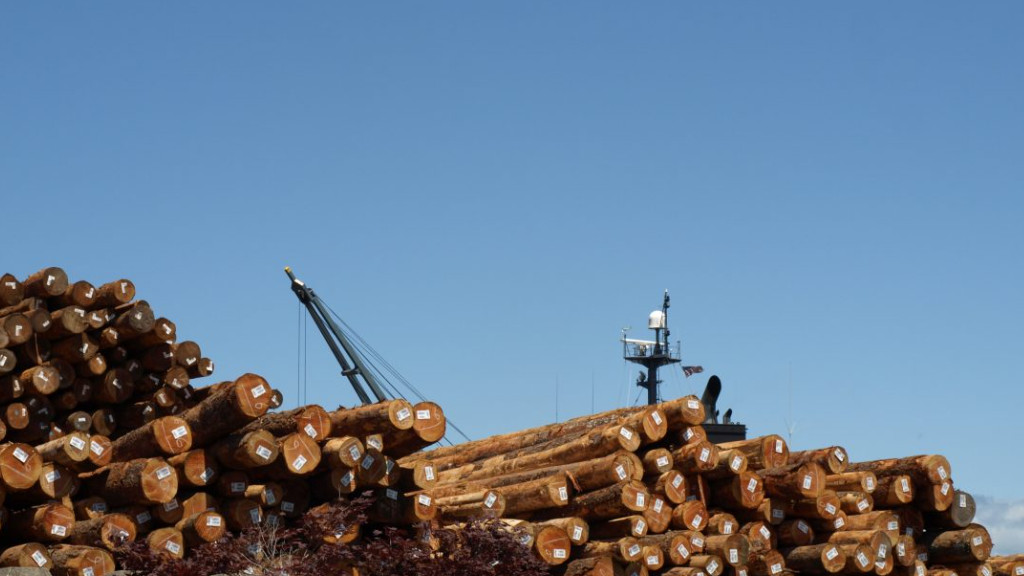 库存回落9.2%，木材商集体“躺平”，买家宁愿“空仓”观望？