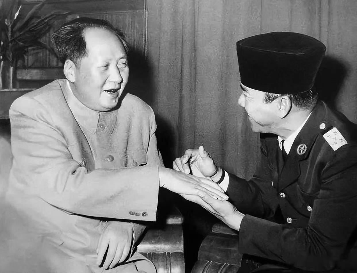 1956年，印度尼西亚总统苏加诺访问中国，和毛主席进行了友好的会谈。毛主席来看望