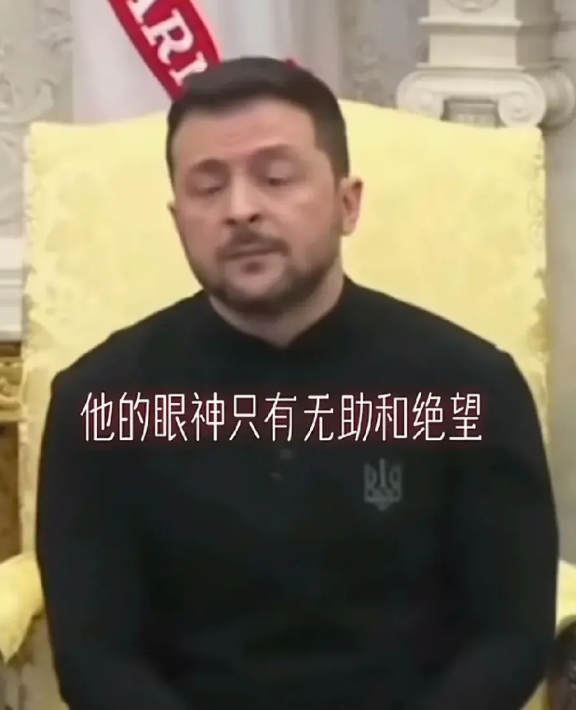 只有无奈和绝望！
三年前，为了加入北约的梦想，配合北约想拖垮俄罗斯，在美国和西方