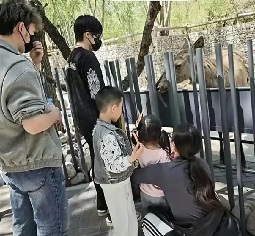 头哥像是会逛动物园的人吗。
可能甜甜更会像去逛动物园的吧，毕竟有两个小孩子。
但