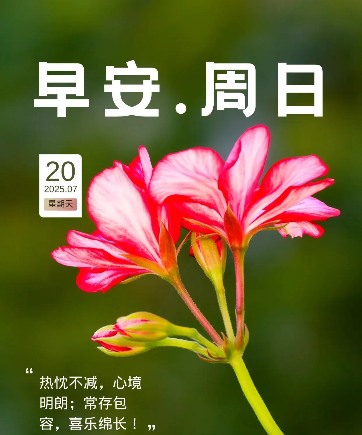 有一颗热忱的心，你会热烈一辈子；有一颗晴朗的心，你会开阔一辈子；有一颗包容的心，