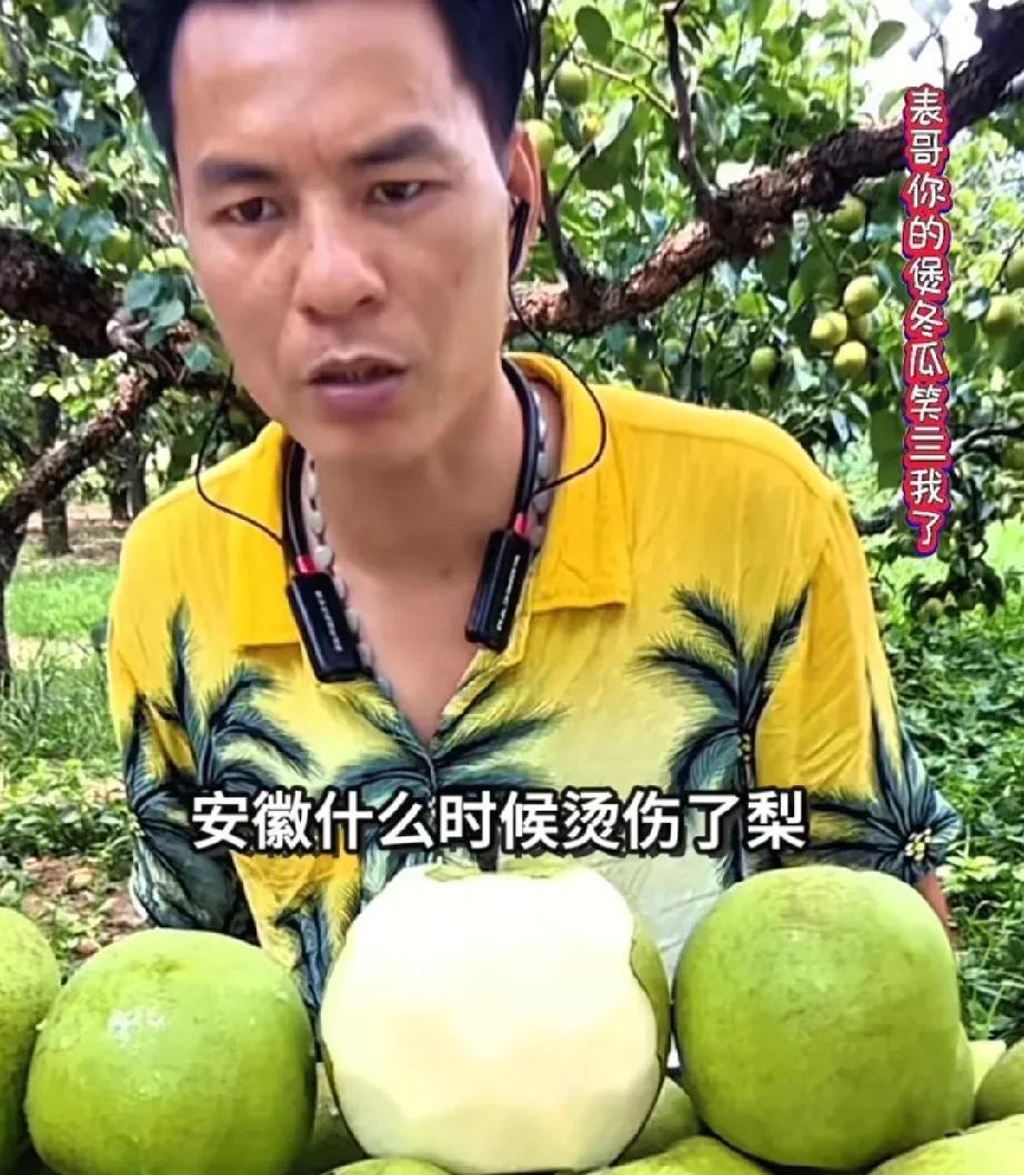 广西老表的普通话，安徽砀山梨，念成了“安徽烫伤了驴”
广西老表的普通话全国知名，