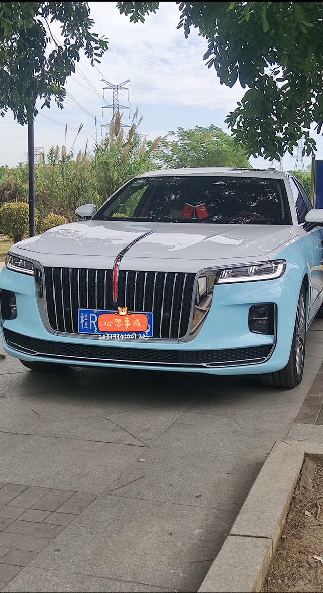 5000公里2023款红旗H9的槽点

虽然我给它评了几乎满分，但丝毫不影响它出