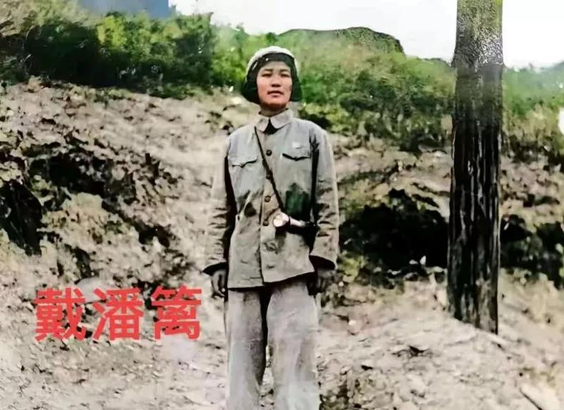 她是海鸥将军（戴安澜）唯一的女儿——戴藩篱，受父亲的影响，年仅15岁的戴藩篱就报