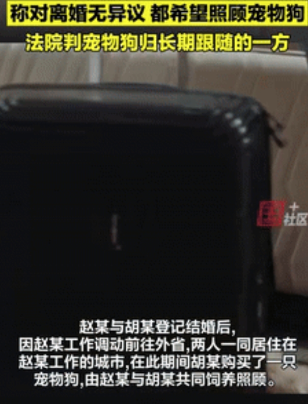 “离谱的很！”湖南常德，一对夫妻闹离婚不争房子不争财产，就争宠物狗的抚养权，两个