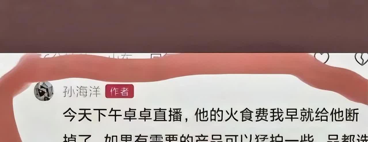 孙海洋说假话成精。
把孙海洋扳倒就等于维护了寻亲圈的正义。孙海洋总想当寻亲圈的