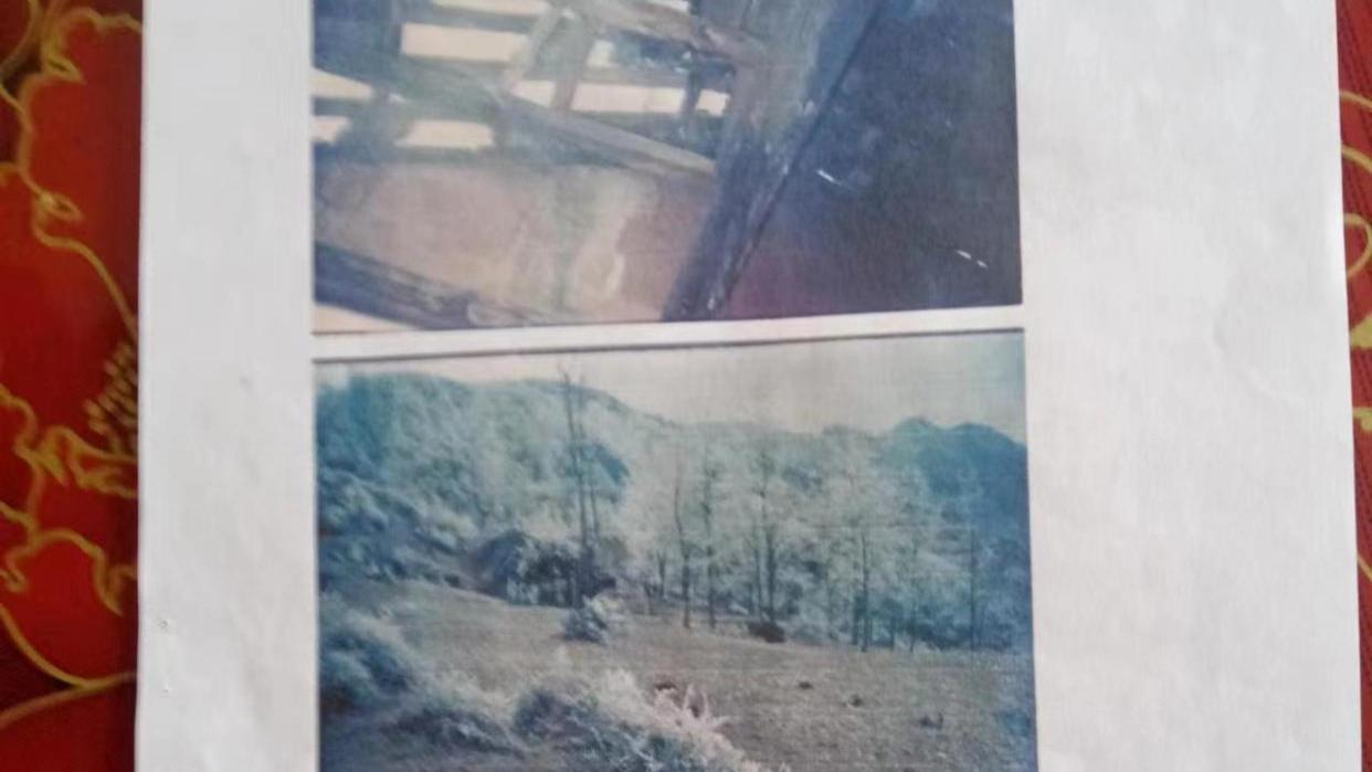 37年血泪控诉：贵州一退-伍军人家庭遭暴-力围殴、坟压自留地，数百次申诉无果