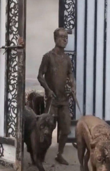 大型犬溜人后的样子。 ​​ ​