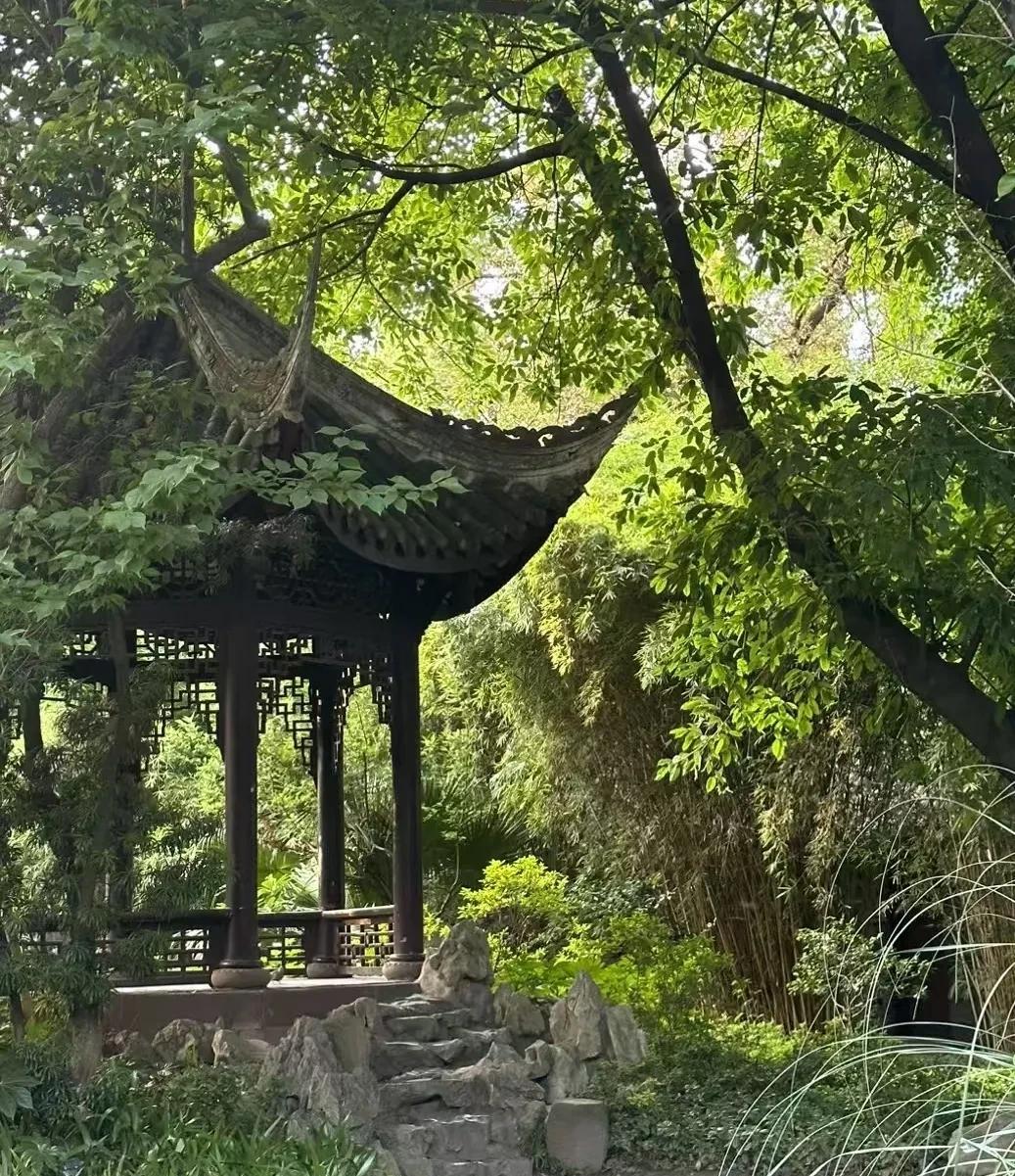 小姐姐对人性的剖析，不得不甘拜下风。
只能说一句，学到了。
我要多么努力，才能够