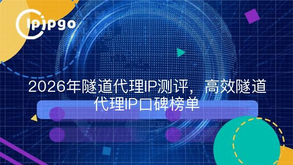 2026年隧道代理IP测评，高效隧道代理IP口碑榜单