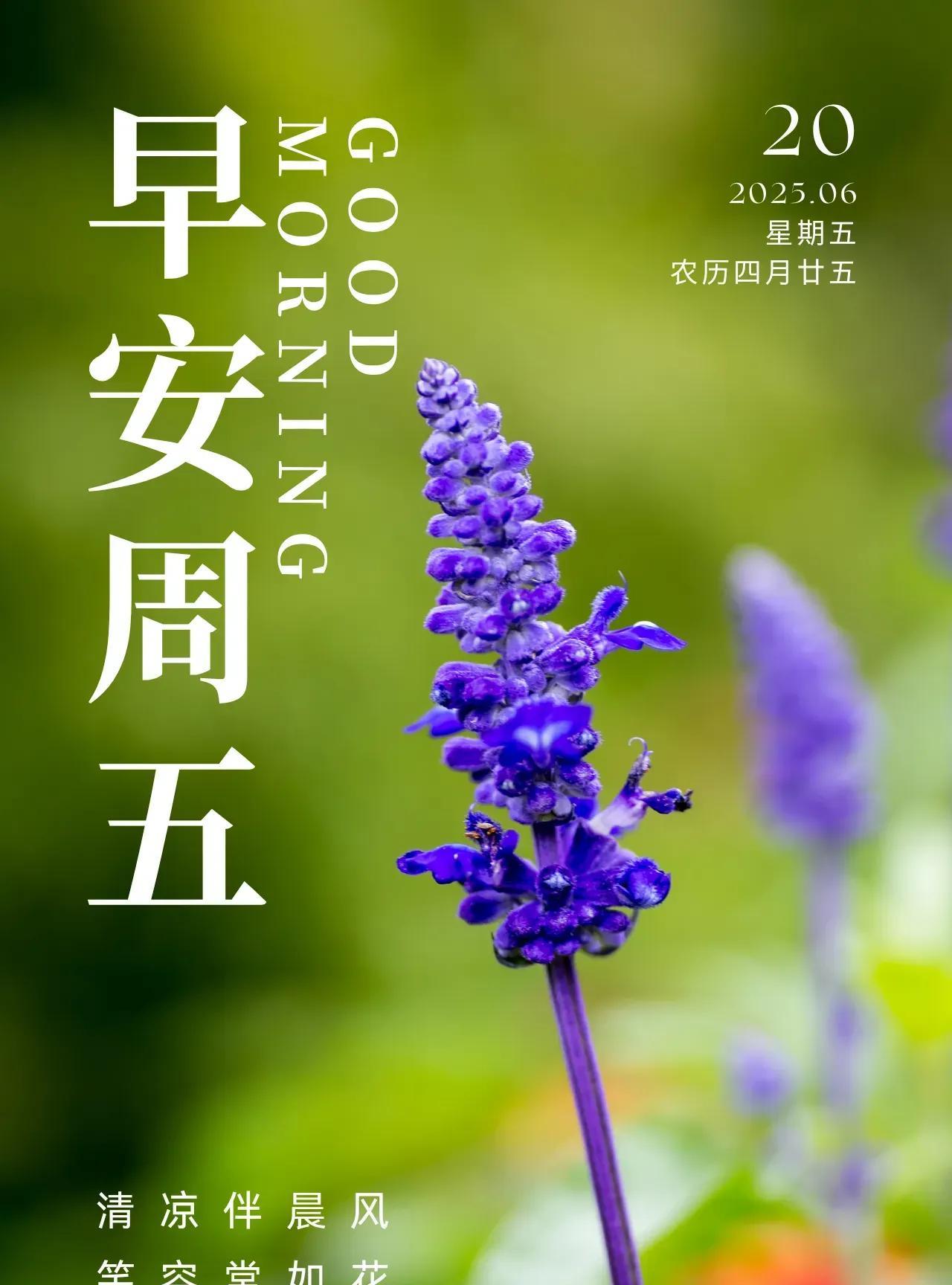 珍惜当下，善待自己。面对生活，保持乐观向前行，时光定不负努力。人生旅途总有挑战，