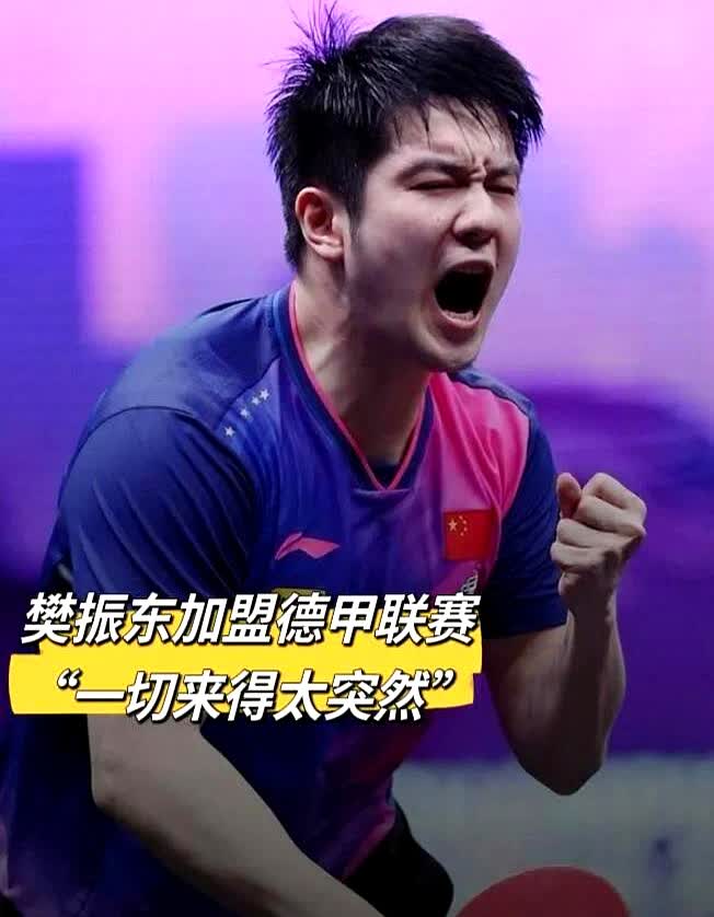 樊振东，这下你该满意了吧！

本来以为让官方出手整治饭圈，你的目的就达到了，