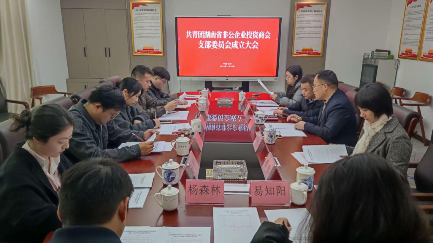 热烈庆祝共青团湖南省非公企业投资商会支部委员会成立大会暨第一次团员大会圆满召开